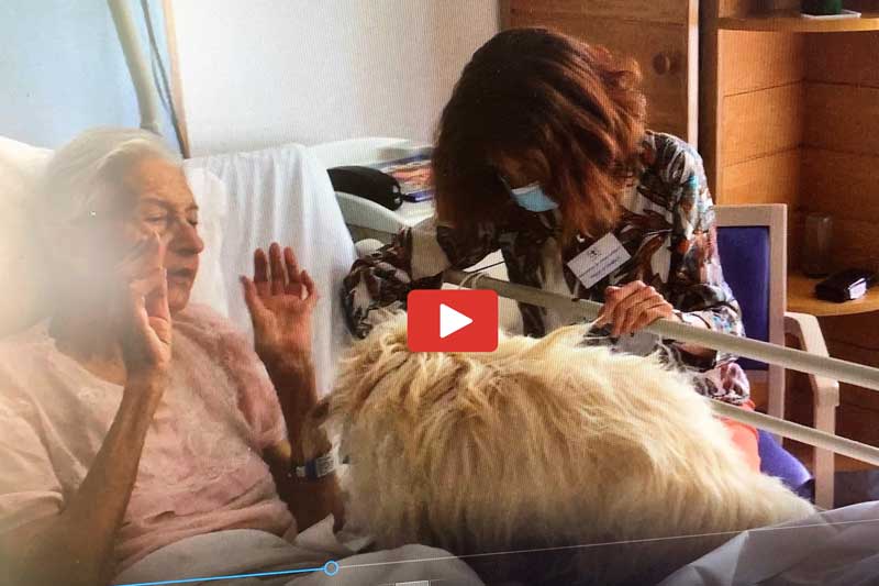 chien pour créer du lien en soins palliatifs